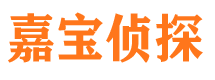 宁南市调查公司